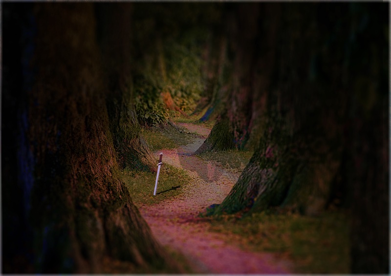 An image of a brooding forest path, with a sword planted in the middle of the path.